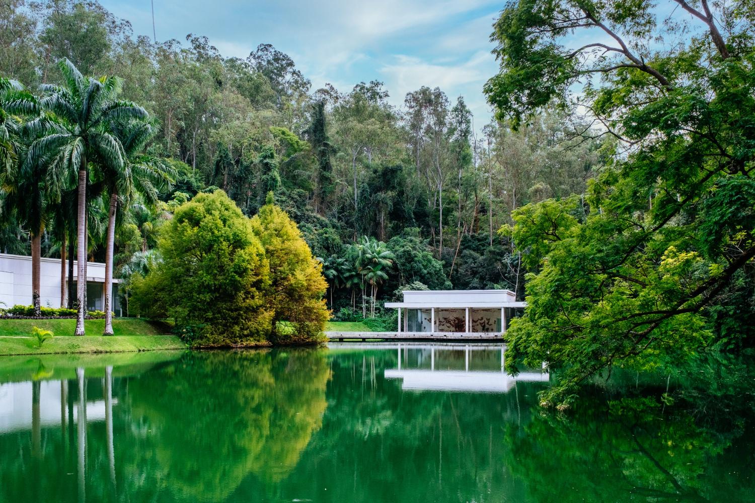Lush Nature